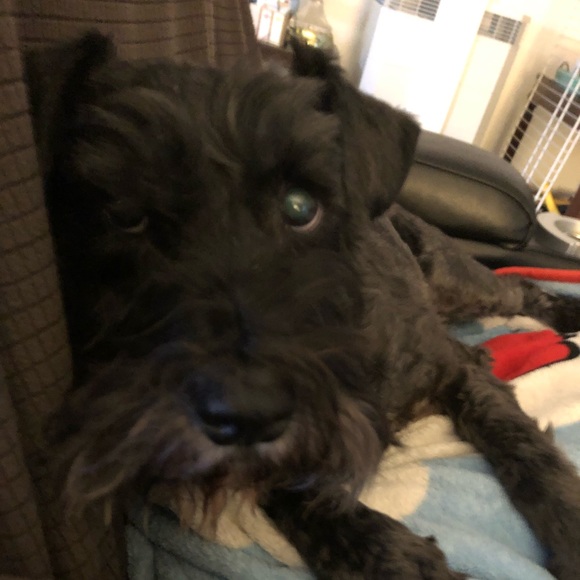 ⚓️Meet your posher, Amy ⚓️ - Picture 7 of 14